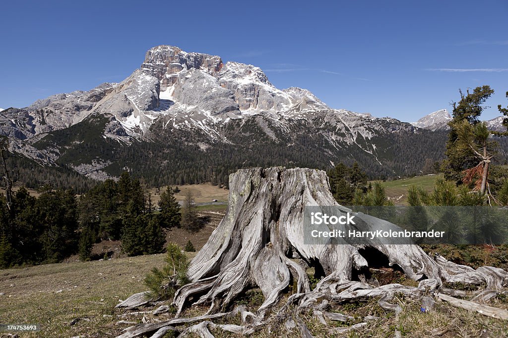 Fanes-Sennes-Prags Nature Park. - Foto de stock de Alpes europeus royalty-free