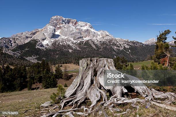 Foto de Fanessennesprags Nature Park e mais fotos de stock de Alpes europeus - Alpes europeus, Cordilheira, Europa do Sul