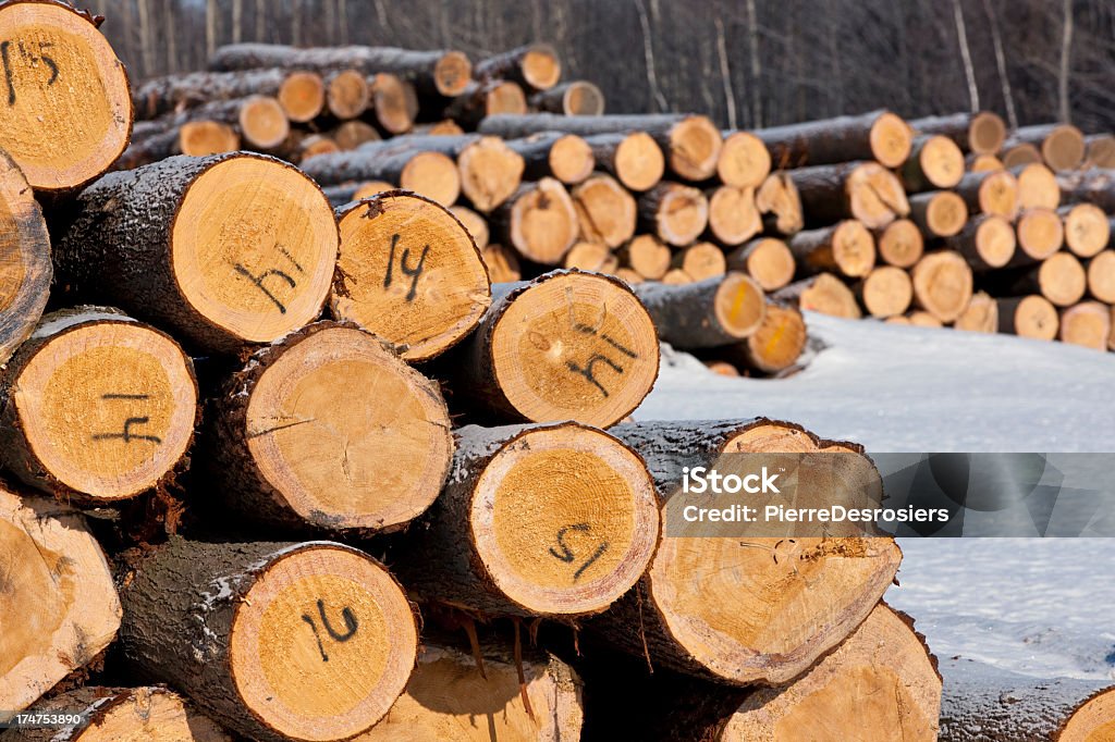 Stacks of logs for log cabin construction. Circle Stock Photo