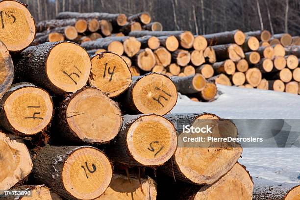 Stacks Of Logs For Log Cabin Construction Stock Photo - Download Image Now - Circle, Cold Temperature, Construction Material