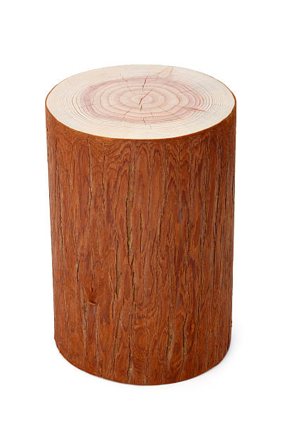 istock single piece of wood 174754132