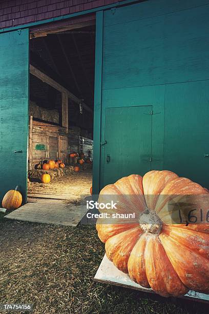 Giant Pumpkin Stockfoto und mehr Bilder von Abenddämmerung - Abenddämmerung, Aufnahme von unten, Beleuchtet