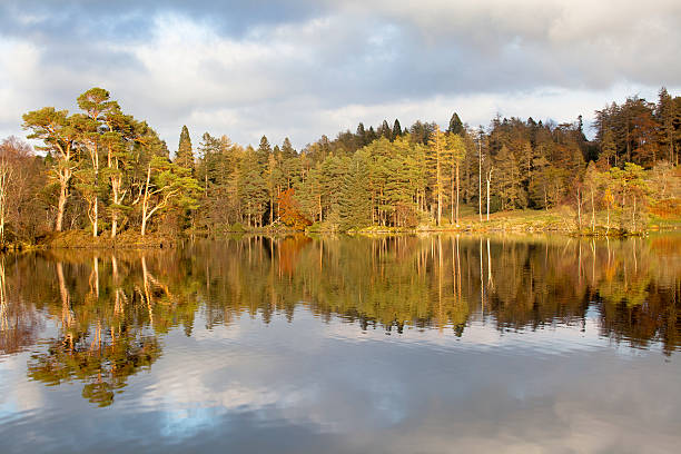 istock Autumn colours at Tarn Howes, Lake District, UK 174754395