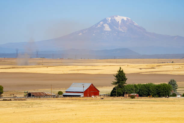 Eastern Washington Wheat Farm and Mt. Adams