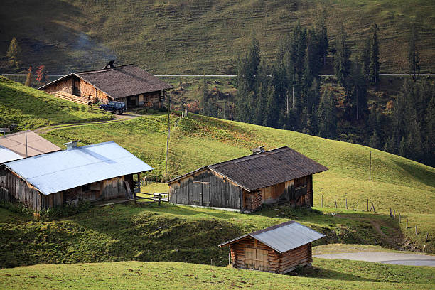 istock idyllic typical swiss landscape huts meadows hills and trees 174754758