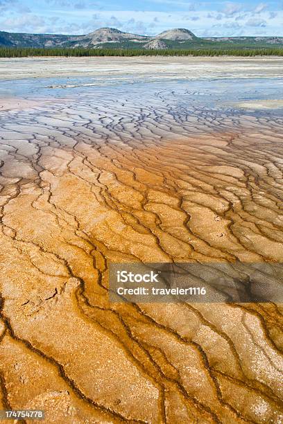 Parco Nazionale Di Yellowstone Wyoming - Fotografie stock e altre immagini di Acqua - Acqua, Ambientazione esterna, Bacino dei geyser di mezzo