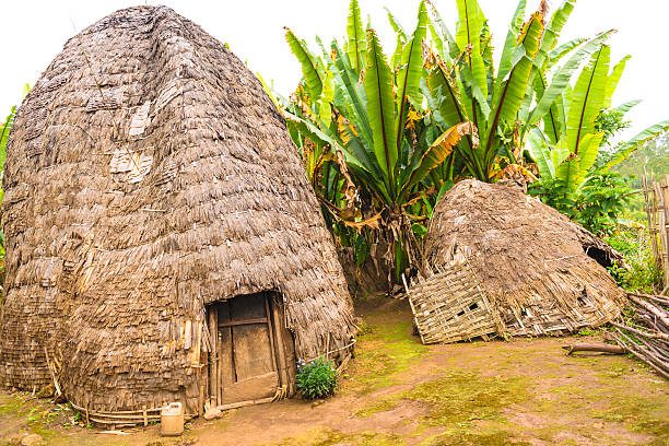 istock Dorze Hut, Ethiopia 174755039