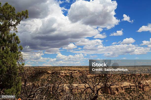 Park Narodowy Mesa Verde Widok - zdjęcia stockowe i więcej obrazów Bez ludzi - Bez ludzi, Chmura, Drzewo