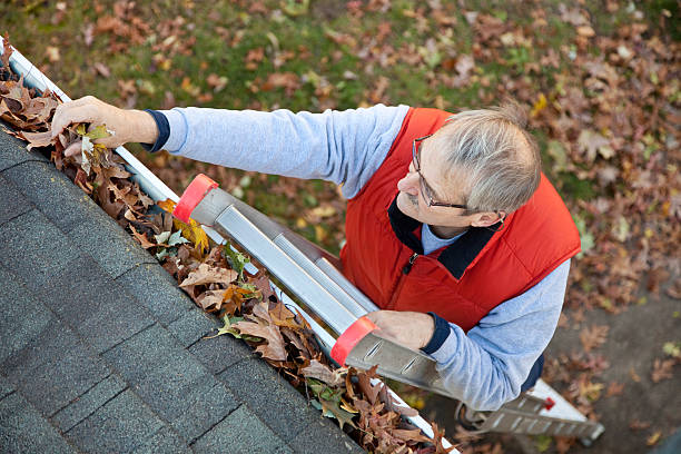 Man up ladder cleaning leafs out of gutter on house Senior man cleaning leafs out of gutter.More of this model. roof gutter photos stock pictures, royalty-free photos & images