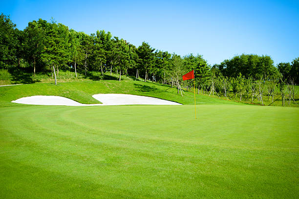 verde y golf fairway - practicing golf putting golf flag fotografías e imágenes de stock