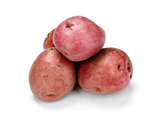 pomme de terre - red potato isolated raw potato raw photos et images de collection