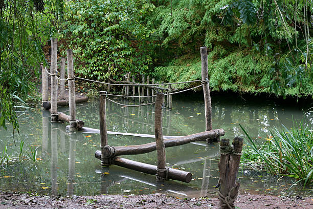istock Jungle Creek Pond wooden bridge 174755963