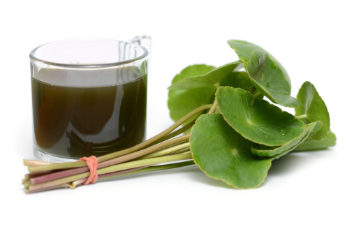 Asiatic Pennywort (Centella asiatica)or Gotu Kola leaf herb alternative medicine for arthritis and juice 