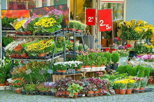 istock Flowers at a flower shop 174756050