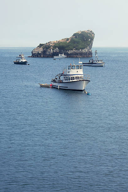 barcos en trinidad - humboldt county california coastline island fotografías e imágenes de stock