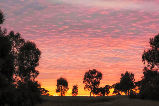 Sunrise and its kaleidoscope of colours with trees in silhouette over a lake in rural Victoria, Australia