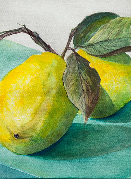 Ripe Lemons-watercolor vector art illustration