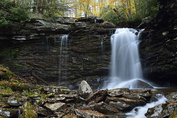 cascadas en el bosque nacional monongahela - monongahela national forest landscapes nature waterfall fotografías e imágenes de stock