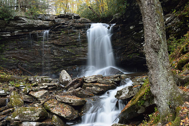 폭포 in monongahela 국립 산림 - monongahela national forest landscapes nature waterfall 뉴스 사진 이미지