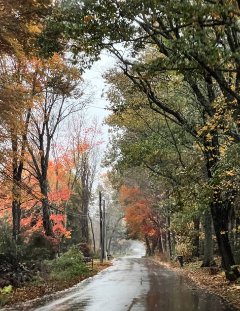 istock Autumn Colors and Rain 1747570552