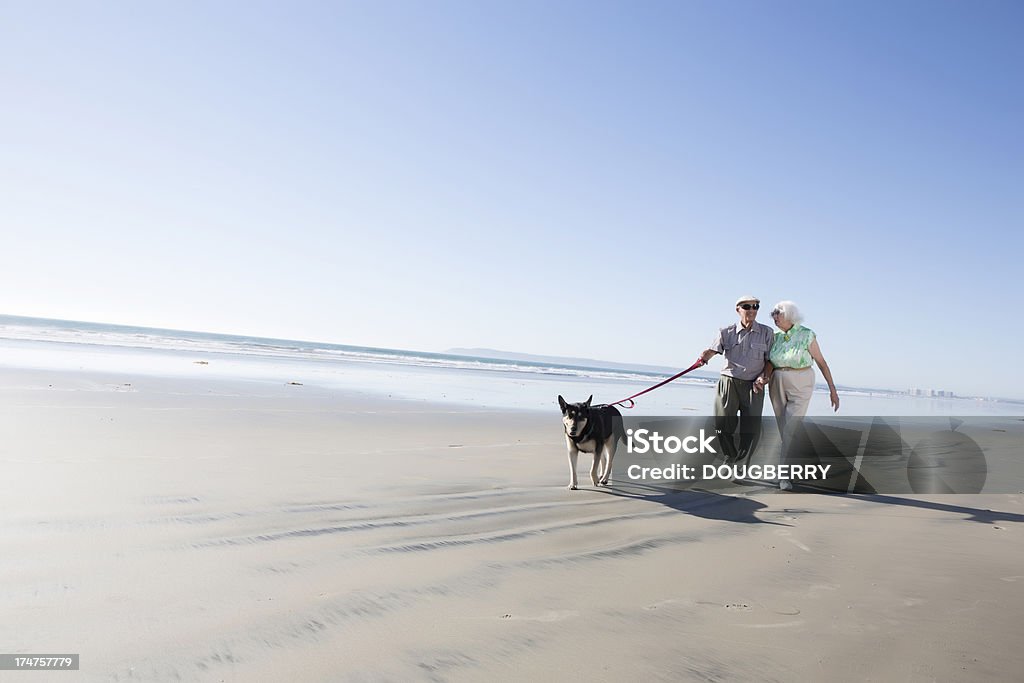 Gente de tercera edad activa - Foto de stock de Pareja mayor libre de derechos