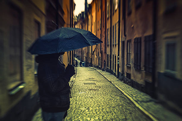 mann hält einen regenschirm in stockholm in einem regnerischen tag - road isweather2012 weather country road stock-fotos und bilder