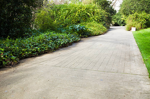 istock Concrete footpath in a garden 174758341