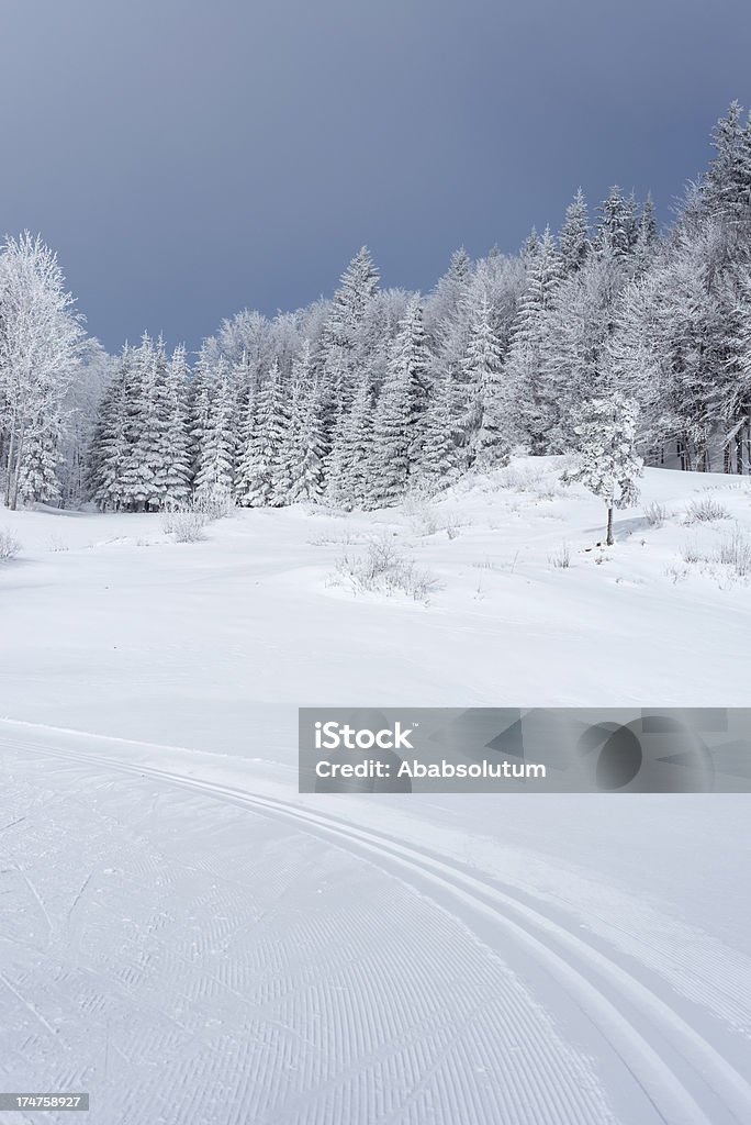 Scène d'hiver avec des pistes de Ski de fond de Slovénie - Photo de Alpes européennes libre de droits