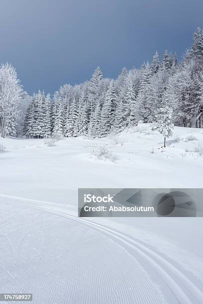 Photo libre de droit de Scène Dhiver Avec Des Pistes De Ski De Fond De Slovénie banque d'images et plus d'images libres de droit de Alpes européennes