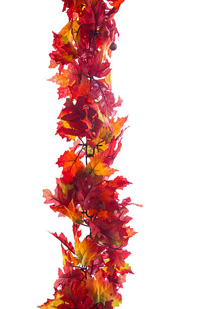 foglia garland - wreath autumn flower thanksgiving foto e immagini stock