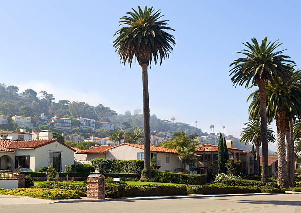 istock Luxury residential suburbs 174759302