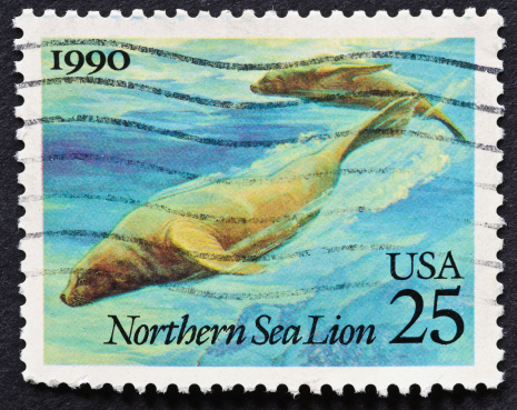 Part of the Sea Creatures issue of October 1990, this stamp issued in Baltimore Maryland shows a pair of Northern Sea Lions.