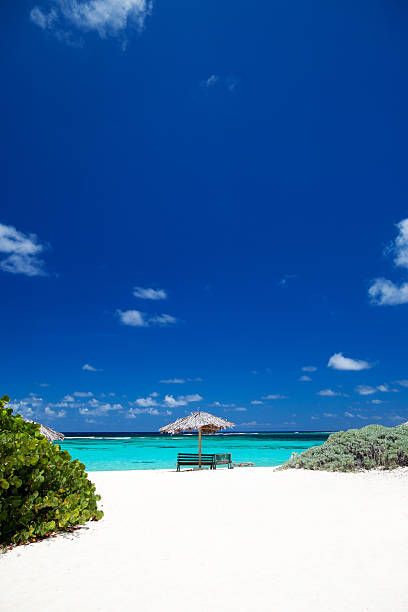istock bench under cabana umbrella on a  beach in Anegada, BVI 174760063
