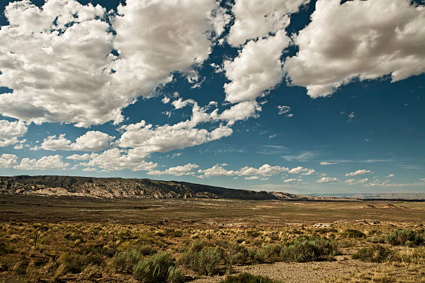 istock Landscape In USA 174760160