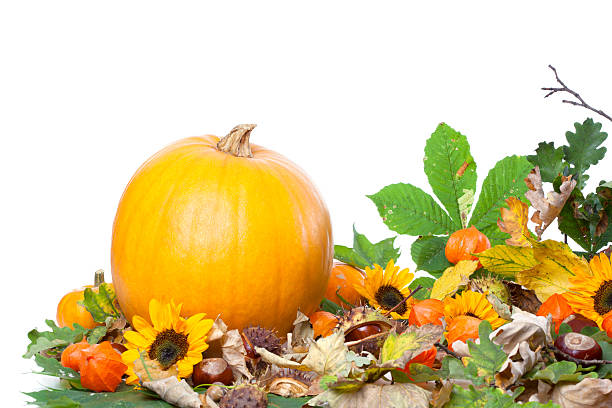 istock Pumpkins, leaves, flowers frame isolated on white 174760370