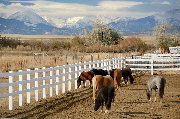 istock Horse Ranch, Colorado 174760422
