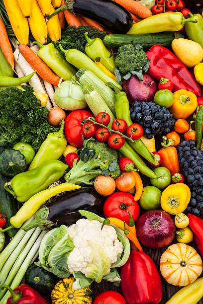 fundo de frutas e produtos hortícolas - zucchini vegetable squash market imagens e fotografias de stock