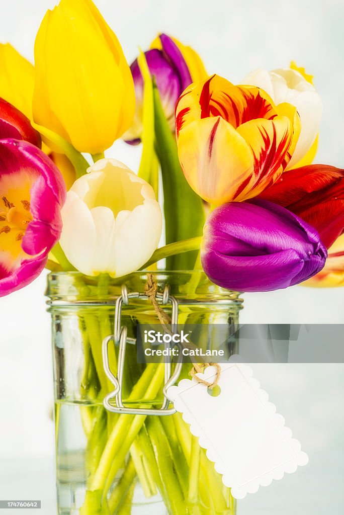 Hermoso vibrante tulipanes en el recipiente - Foto de stock de Amarillo - Color libre de derechos