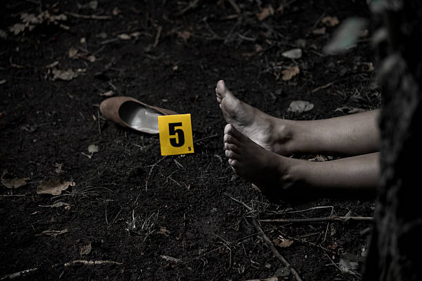 Crime scene Crime scene investigation victim photos stock pictures, royalty-free photos & images