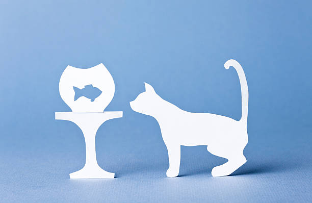 Dangers to small pets: Cat being very interested in a fish swimming in a fish bowl sitting on a low table. Blue background.