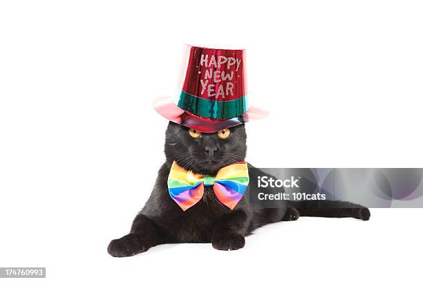 Szczęśliwy Nowy Roku - zdjęcia stockowe i więcej obrazów Kot domowy - Kot domowy, Nowy Rok - Święto, Sylwester