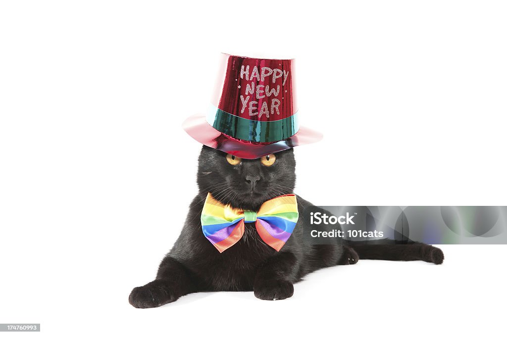 Счастливый Новый год - Стоковые фото Домашняя кошка роялти-фри