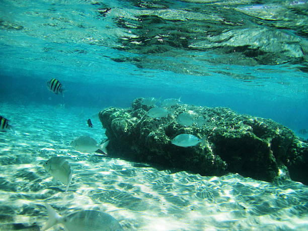 ブルーのフラット海 - red sea taba sand reef ストックフォトと画像