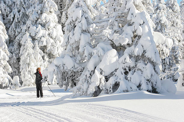 istock Ski runner on a beautiful winter day....Rogla,Slovenia 174761459
