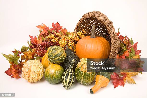 Colorato Gourds - Fotografie stock e altre immagini di Autunno - Autunno, Cornucopia, Abbondanza