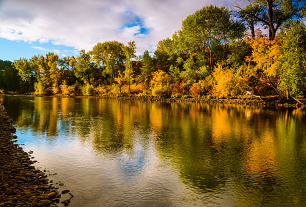 fiume boise autunno - boise river foto e immagini stock