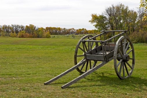 Metis Red River Cart on Prairie with Batoche Graveyard in Distance.