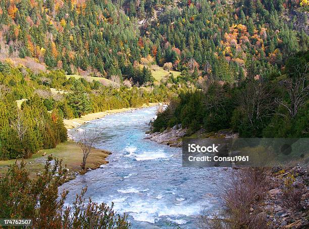 Valley Foto de stock y más banco de imágenes de Torla - Torla, Pirineos, Rápido - Río