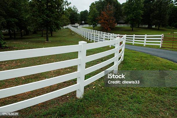 Photo libre de droit de Bonne Clôtures Faire Mieux Voisins banque d'images et plus d'images libres de droit de Voie d'accès au garage - Voie d'accès au garage, Agriculture, Arbre