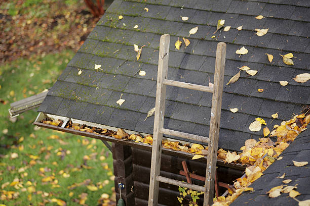 Cleaning rooftop and around the house from the autumn leaves stock photo